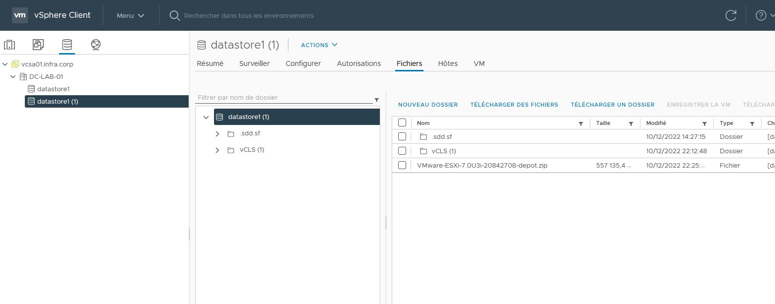 Televerser le patch sur le datastore local